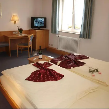 Hotell Gasthof Baeren 3*